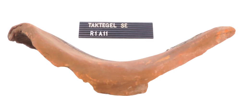 R1A11 - Bild 3