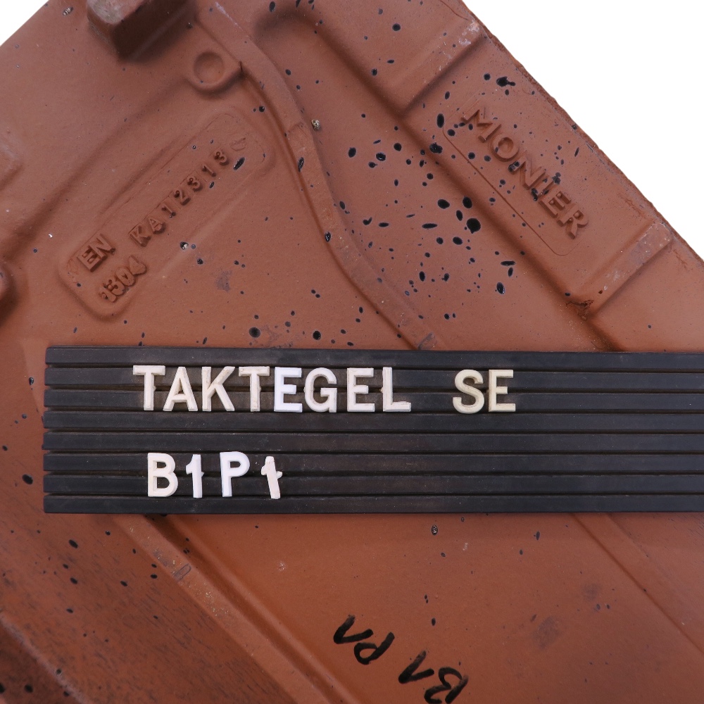 B1P1 (nova) - Bild 3